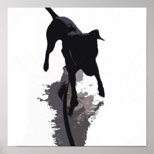Póster perro y sombra posterized