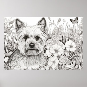 Póster Perro Yorkshire Terrier Peaceful Nature Prairie Ma