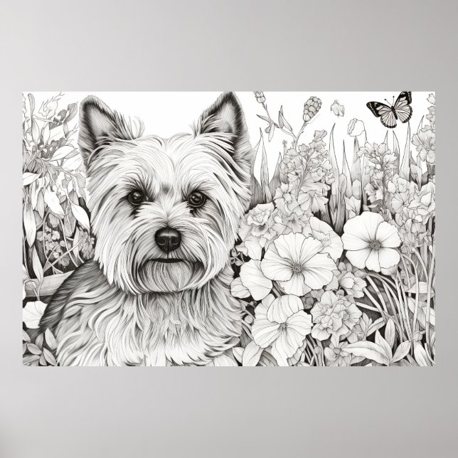 Póster Perro Yorkshire Terrier Peaceful Nature Prairie Ma (Frente)