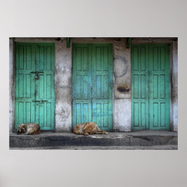 Póster Perros callejeros delante de puertas verdes sucias