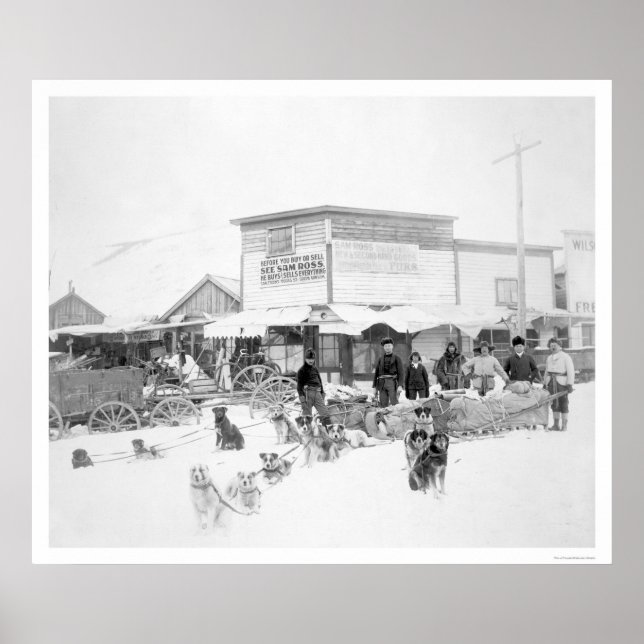 Póster Perros con comida Alaska 1924 (Frente)