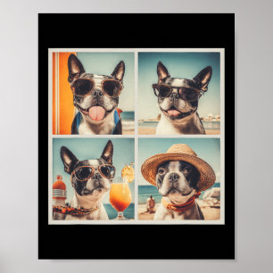 Póster Perros Cool Boston Terrier Sungles Vacaciones de v