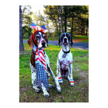 Perros de fiesta de celebración patriótica