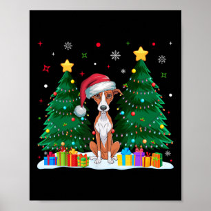 Póster Perros de Whippet Amantes de Santa Hat Navidades f