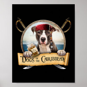 Póster Perros Del Caribe - Cute Staffordshire Terrier