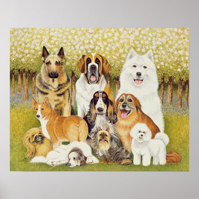 Póster Perros en mayo (Frente)