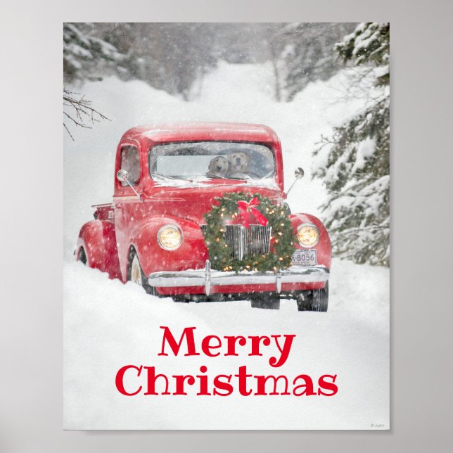 Póster Perros en un camión (Frente)