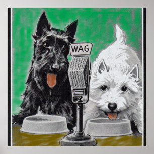 Póster Perros escoceses Blackie y Whitie en la radio