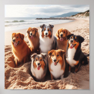Póster perros jugando en la playa en verano