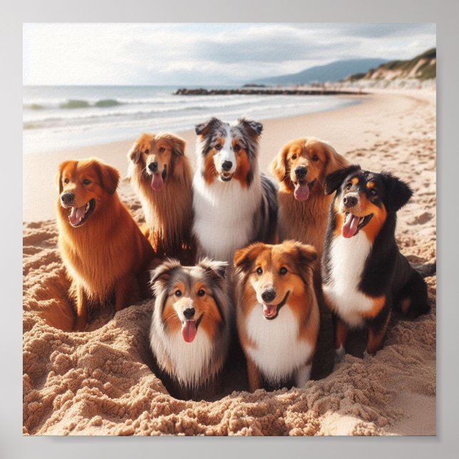Póster perros jugando en la playa en verano (Frente)