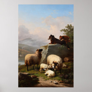 Póster Perros ovinos vigilando la oveja, con vistas al rí