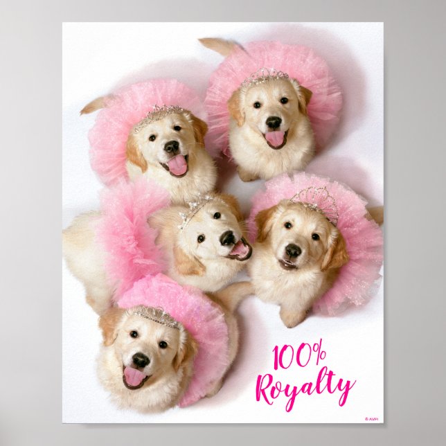 Póster Perros Princesas de Tiaras (Frente)