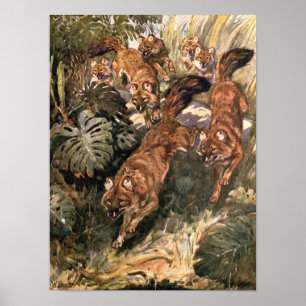 Póster Perros Salvajes Antiguos, Dhole por Winifred Auste