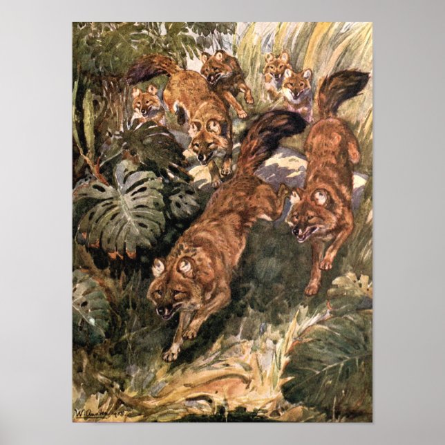 Póster Perros salvajes de época, hoyos de Winifred Austen (Frente)