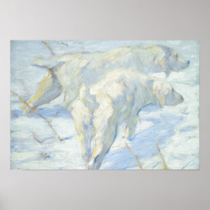 Póster Perros siberianos en la nieve