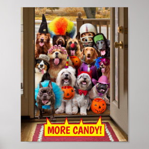 Póster Perros trincherados o tratados