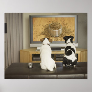 Póster Perros viendo plato de perro con comida en la tele