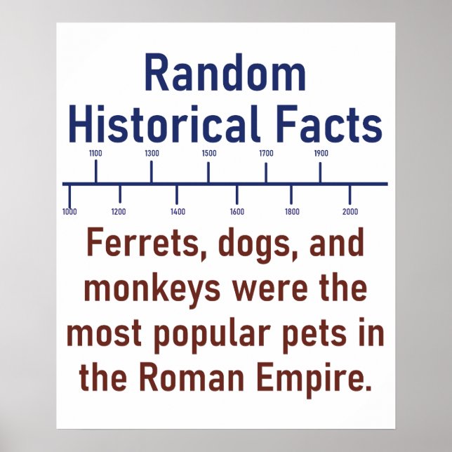 Póster Perros Y Monos De Ferrets - Hecho De La Historia (Frente)