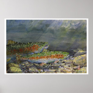 Póster Persecución de los arco iris