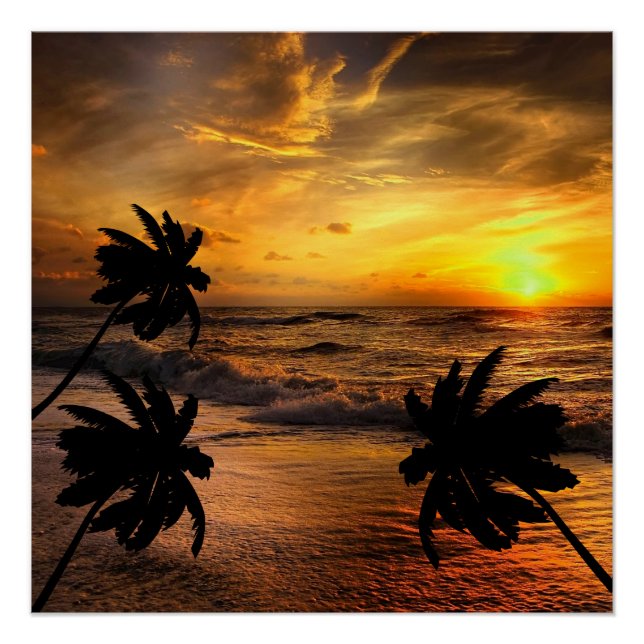 PÓSTER PERSEGUIENDO PUESTAS DE SOL ESCENARIO OCEÁNICO NAT (Anverso)