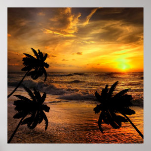 PÓSTER PERSEGUIENDO PUESTAS DE SOL ESCENARIO OCEÁNICO NAT