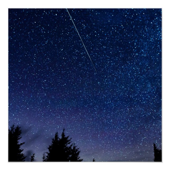 Póster Perseid Meteor Shower (Anverso)