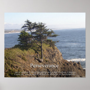 Póster Perseverancia
