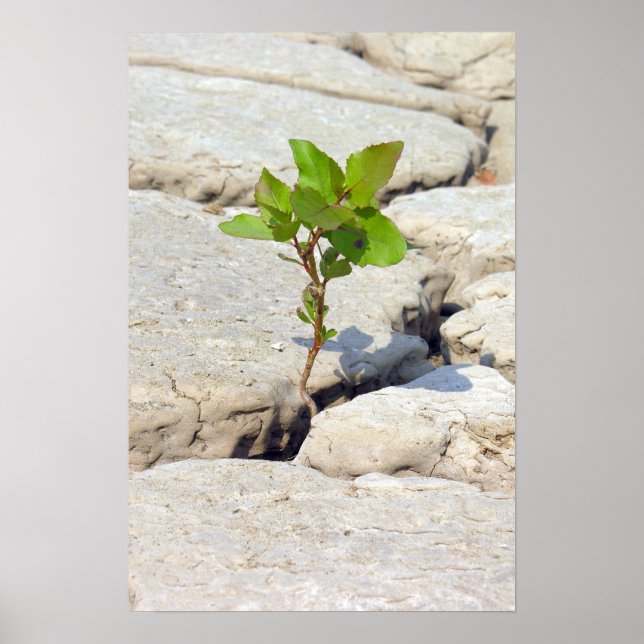 Póster perseverancia (Frente)