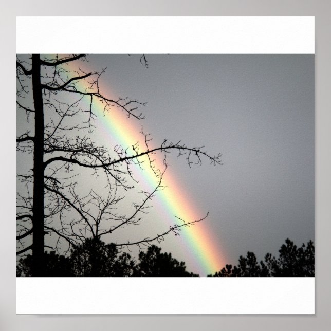 Póster Persiguiendo después de las lluvias (Frente)