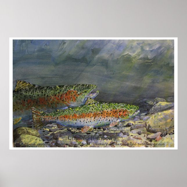 Póster Persiguiendo las lluvias (Frente)