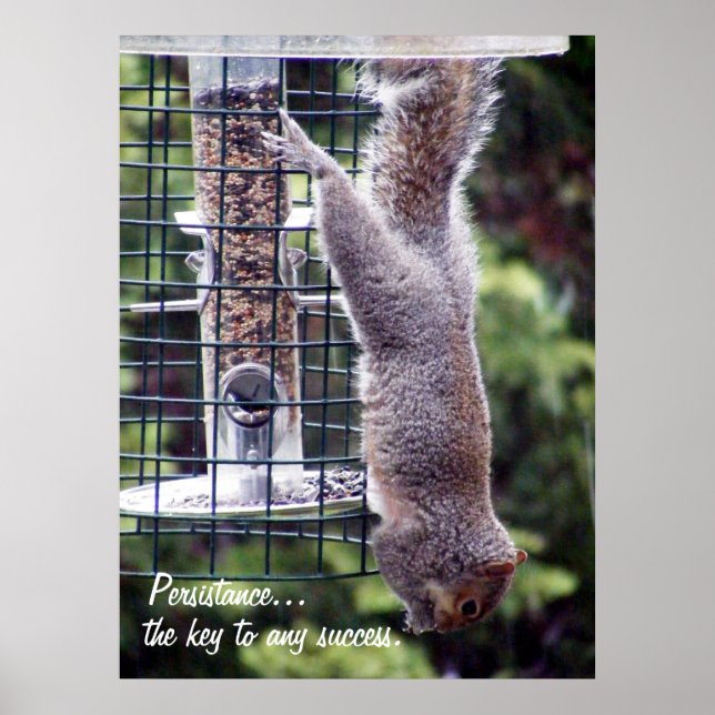 Póster Persistencia (Frente)