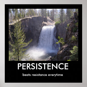 Póster Persistencia