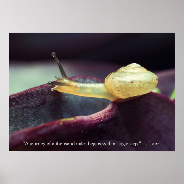 Póster Persistencia de citas motivacionales (Frente)