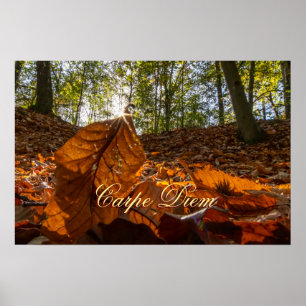 Póster Personal Carpe Diem Hojas brillantes coloridas bos