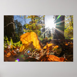 Póster Personal Carpe Diem Hojas brillantes coloridas bos