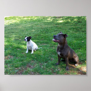 Póster Personal De Atención,