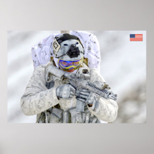 PÓSTER PERSONAL DE COMBATE DE EE.UU.