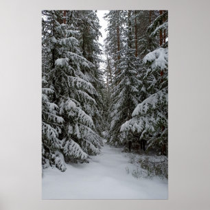 Póster Personaliza Bosque de hoja perenne nevado en invie