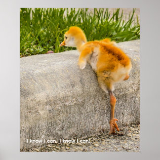 Póster Personaliza pollito lindo "Sé que puedo. Sé que pu