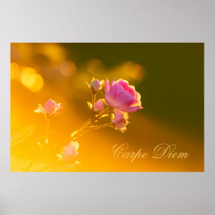 Póster Personalizable Carpe Diem with beautiful rose!