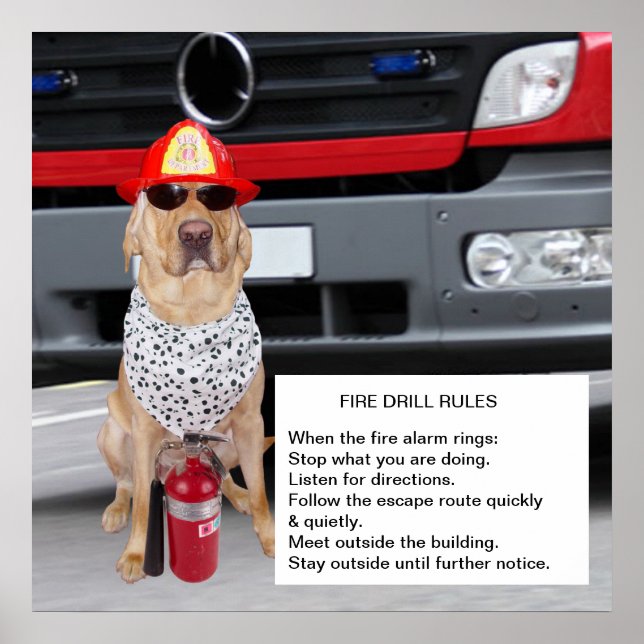 Póster Personalizable Fire Drill (Frente)