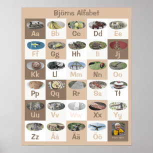 Póster Personalizable Poster de alfabetos sueco