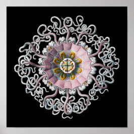 Póster Personalizable Vintage Haeckel