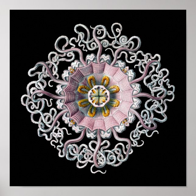 Póster Personalizable Vintage Haeckel (Frente)