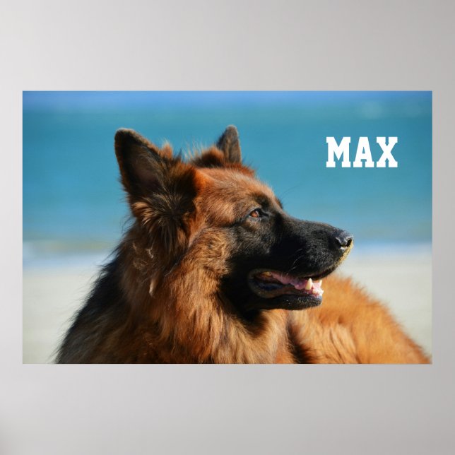 Póster Personalizado 1 Miembro de la familia de fotografí (Frente)