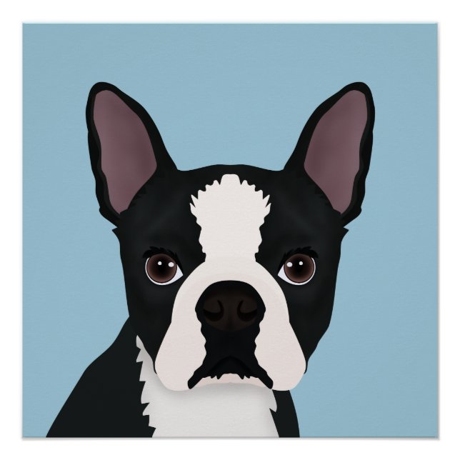 Póster personalizado de boston terrier (Anverso)