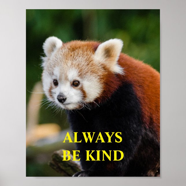 Póster Personalizado de citas Inspiradoras Red Panda Be K (Frente)
