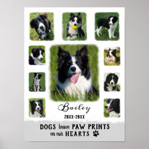 Póster Personalizado de perro Collage de fotos Bordes frí