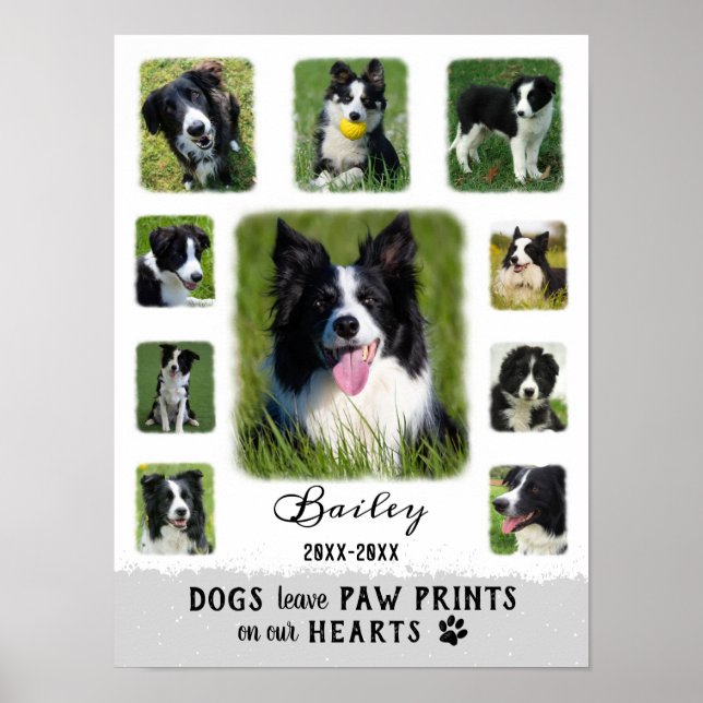 Póster Personalizado de perro Collage de fotos Bordes frí (Frente)