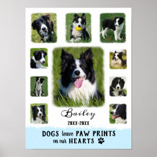 Póster Personalizado de perro Collage de fotos Bordes Fun